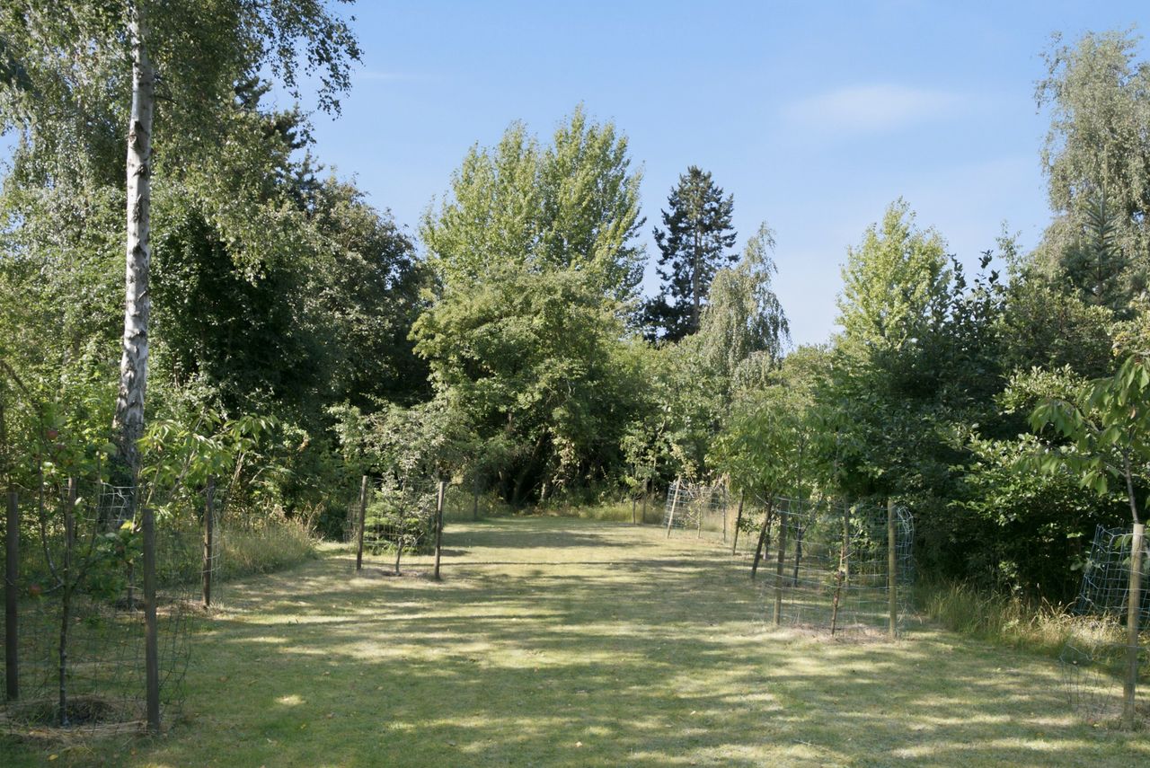 image 03