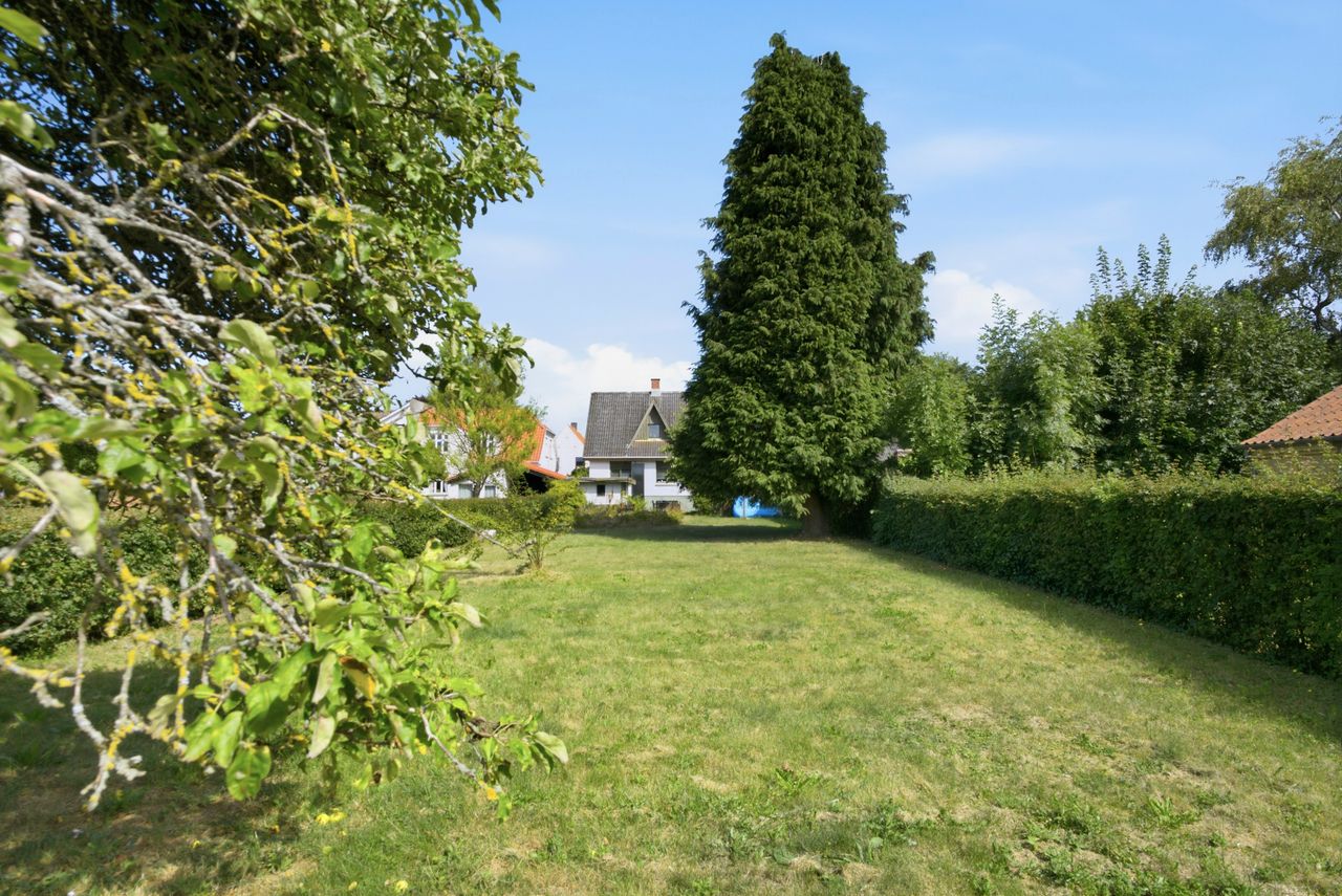 image 03